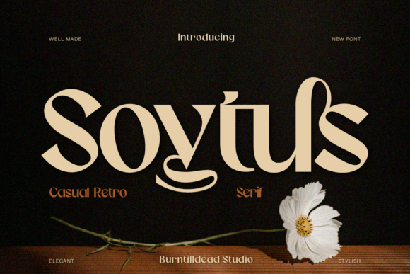 Soytus: A Serif Font That Makes Your Campaigns Instantly Clearer